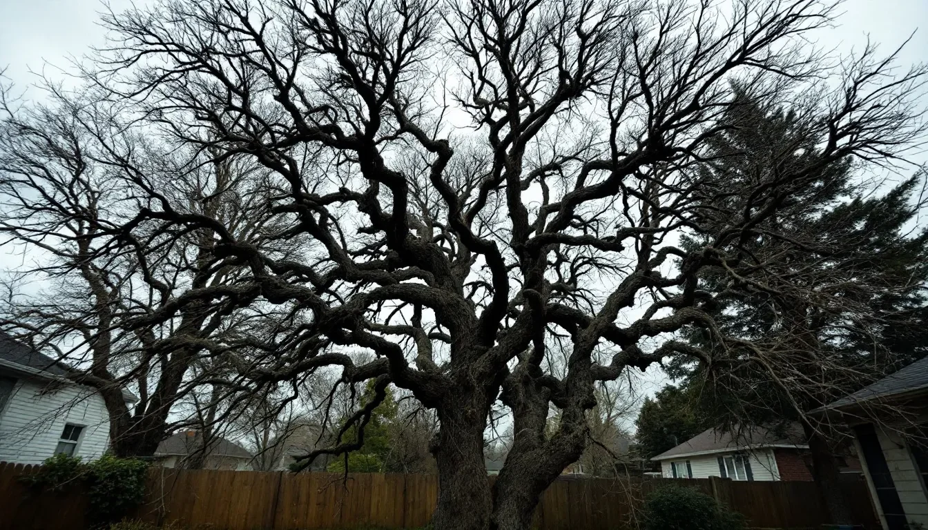Fruit Tree Pruning in Livonia